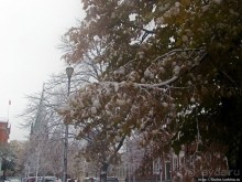 Золотая осень в Норвегии. Комбинации желтого и белого золота