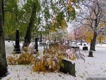 Золотая осень в Норвегии. Комбинации желтого и белого золота