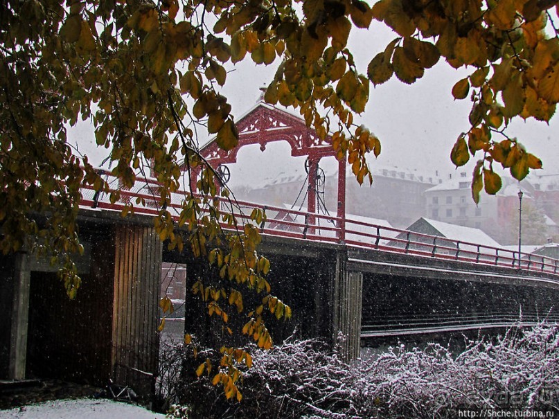 Золотая осень в Норвегии. Комбинации желтого и белого золота