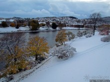 Золотая осень в Норвегии. Комбинации желтого и белого золота