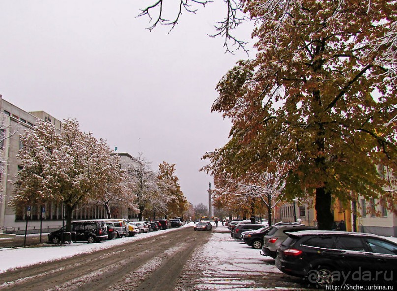 Золотая осень в Норвегии. Комбинации желтого и белого золота