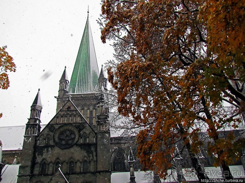 Золотая осень в Норвегии. Комбинации желтого и белого золота