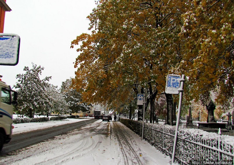 Золотая осень в Норвегии. Комбинации желтого и белого золота