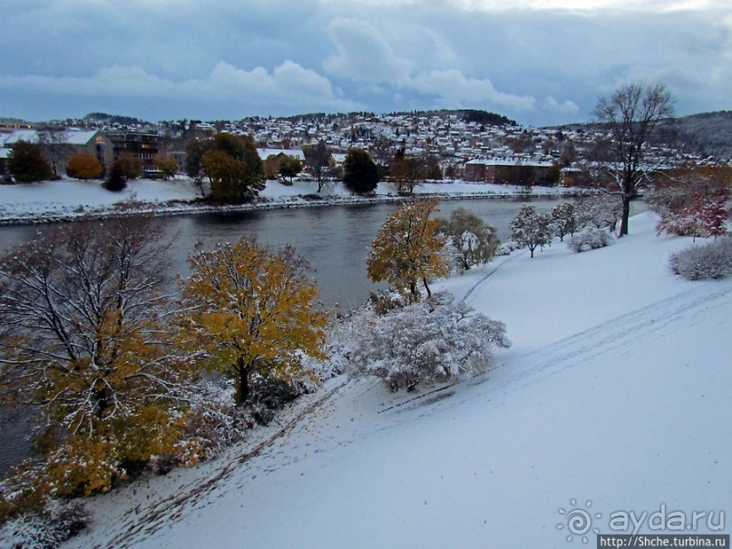 Золотая осень в Норвегии. Комбинации желтого и белого золота