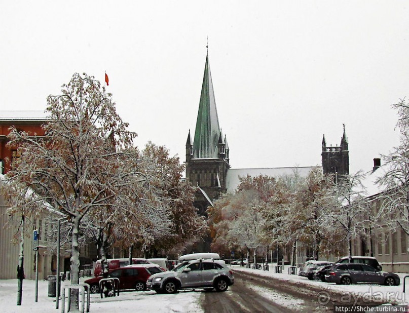 Золотая осень в Норвегии. Комбинации желтого и белого золота