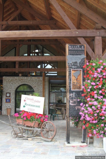 Поесть и купить хорошего сыра от производителя