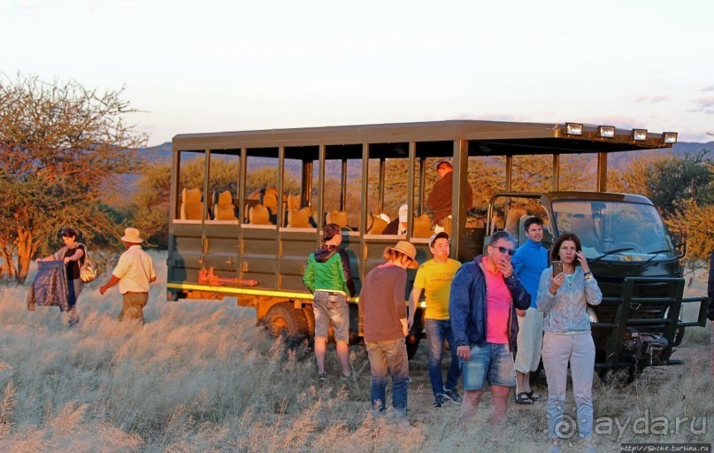 Альбом отзыва "Старый лев борозды не испортит"