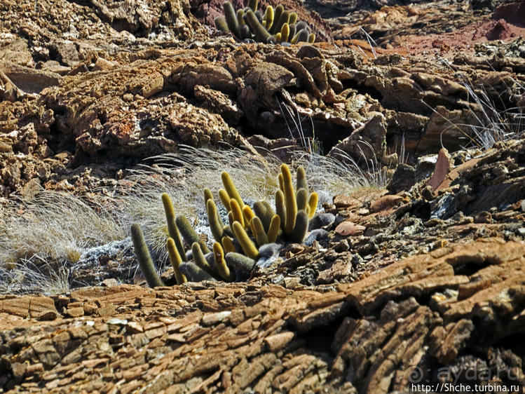 Остров Бартоломе — ландшафтные открытки Галапагос