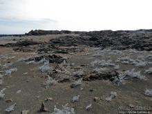 Остров Бартоломе — ландшафтные открытки Галапагос