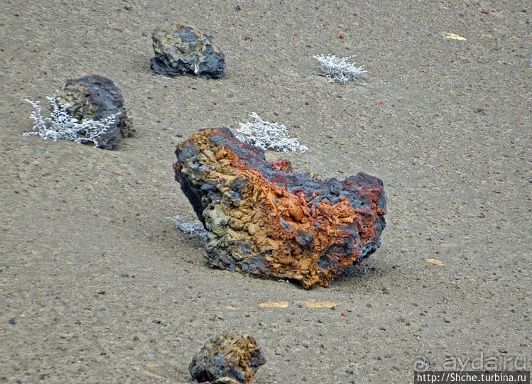 Остров Бартоломе — ландшафтные открытки Галапагос