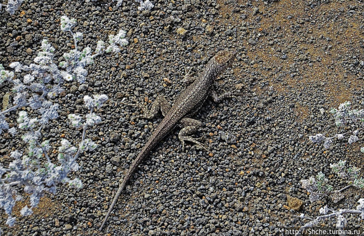 Остров Бартоломе — ландшафтные открытки Галапагос