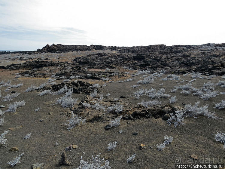 Остров Бартоломе — ландшафтные открытки Галапагос
