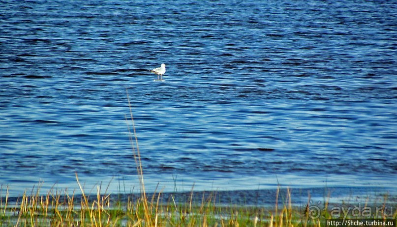 Городок на озере Гурон