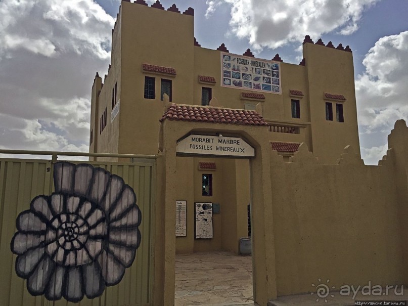 Где и как потрогать древнего аммонита