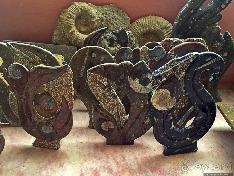 Где и как потрогать древнего аммонита