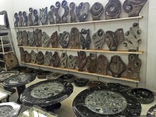 Где и как потрогать древнего аммонита