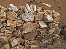 Где и как потрогать древнего аммонита