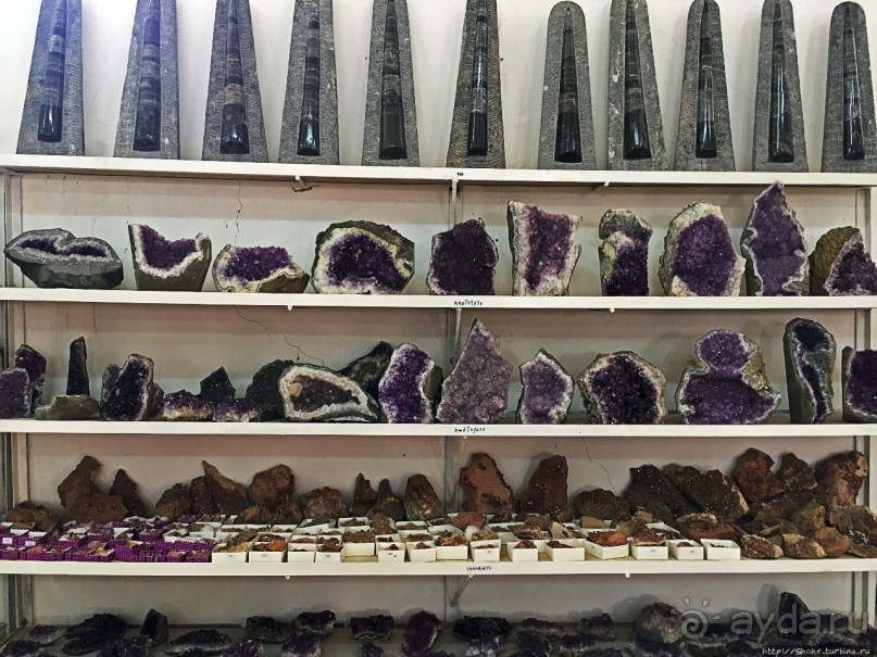 Где и как потрогать древнего аммонита