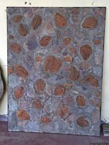 Где и как потрогать древнего аммонита