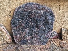 Где и как потрогать древнего аммонита