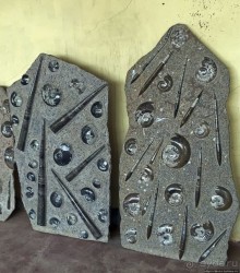 Где и как потрогать древнего аммонита