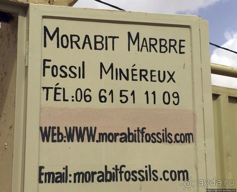 Где и как потрогать древнего аммонита