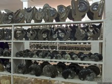 Где и как потрогать древнего аммонита