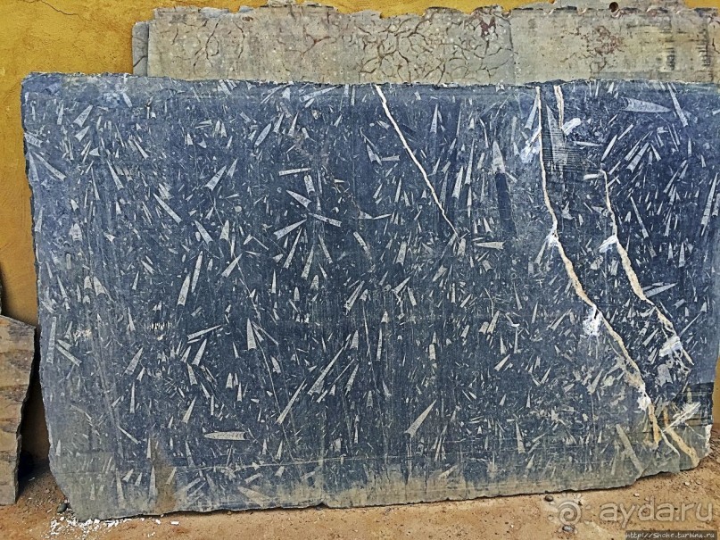 Где и как потрогать древнего аммонита