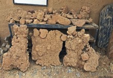 Где и как потрогать древнего аммонита