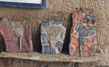 Где и как потрогать древнего аммонита