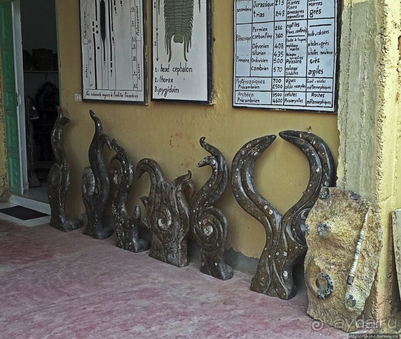 Где и как потрогать древнего аммонита