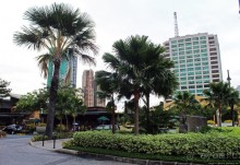 ПоМанила, выМанила