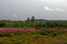 Правдивые картинки юго-восточной Канады. Дороги Нью-Брансуик