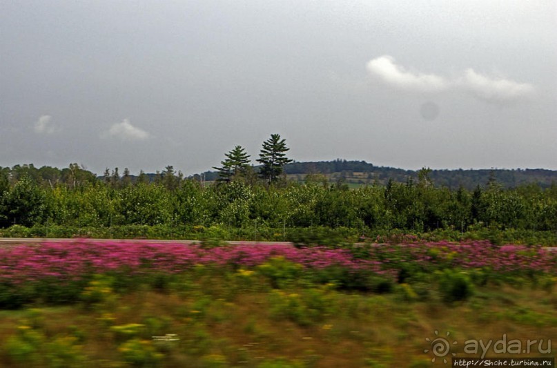 Правдивые картинки юго-восточной Канады. Дороги Нью-Брансуик Правдивые картинки юго-восточной Канады. Дороги Нью-Брансуик