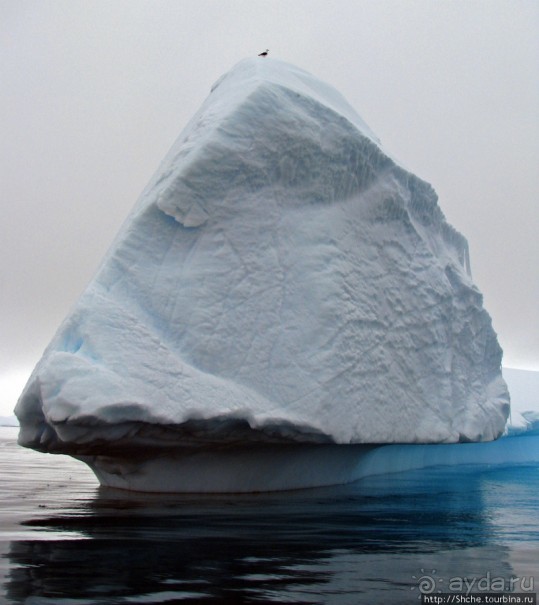 Здесь умирают айсберги — Waterboat Pt, Antarktic Peninsula