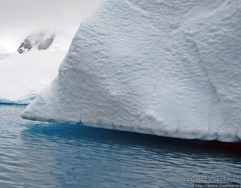 Здесь умирают айсберги — Waterboat Pt, Antarktic Peninsula