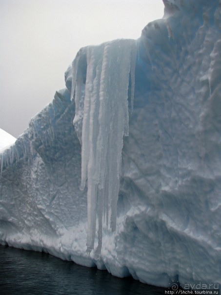 Здесь умирают айсберги — Waterboat Pt, Antarktic Peninsula