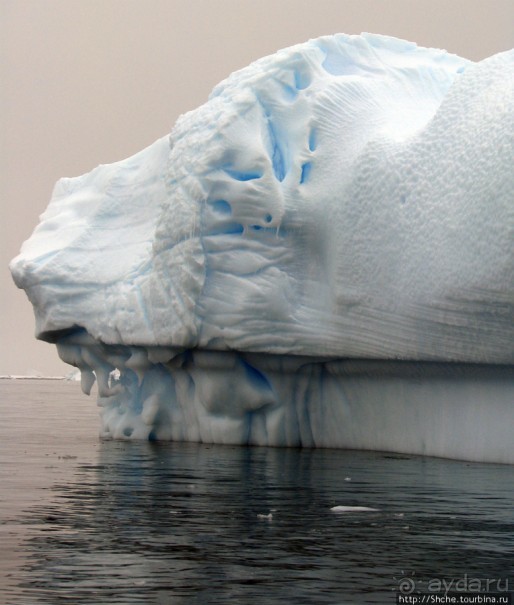 Здесь умирают айсберги — Waterboat Pt, Antarktic Peninsula