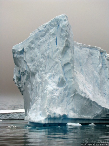 Здесь умирают айсберги — Waterboat Pt, Antarktic Peninsula