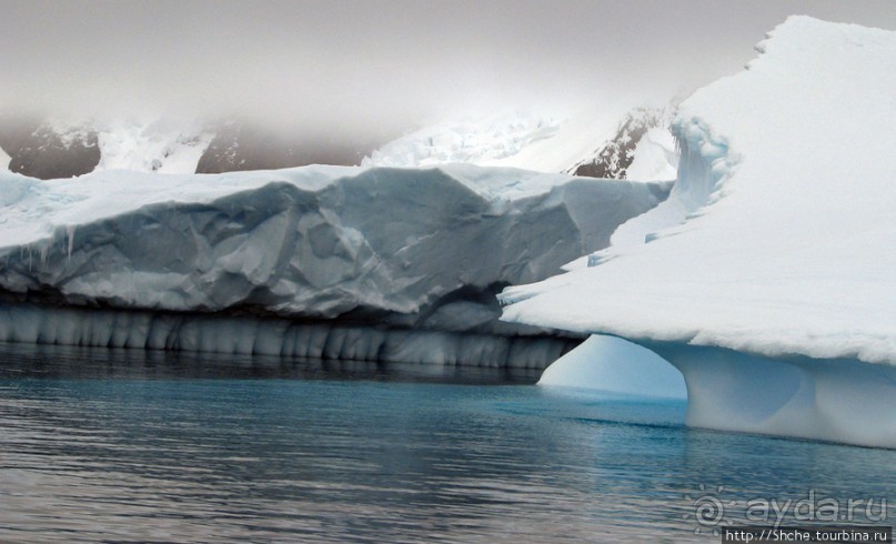 Здесь умирают айсберги — Waterboat Pt, Antarktic Peninsula