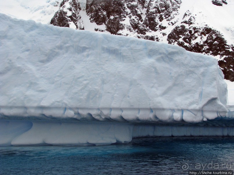 Здесь умирают айсберги — Waterboat Pt, Antarktic Peninsula