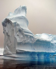 Здесь умирают айсберги — Waterboat Pt, Antarktic Peninsula