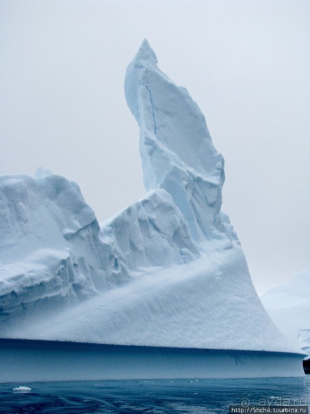 Здесь умирают айсберги — Waterboat Pt, Antarktic Peninsula