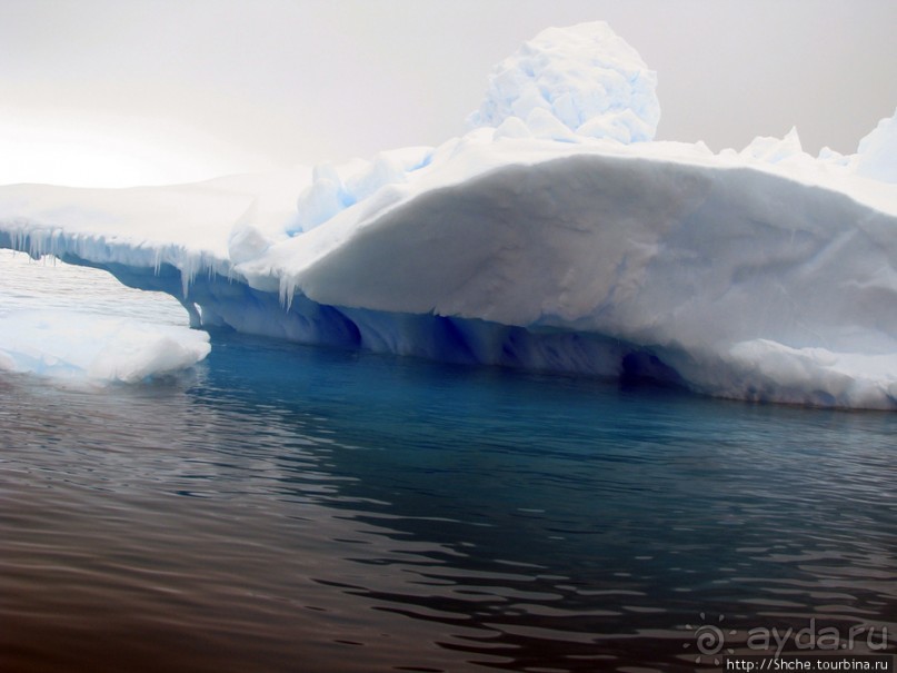 Здесь умирают айсберги — Waterboat Pt, Antarktic Peninsula