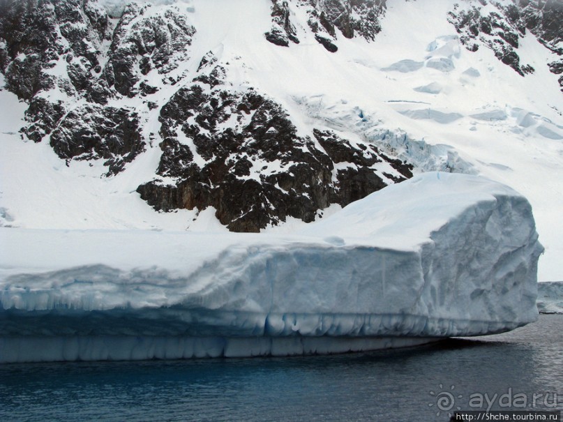 Здесь умирают айсберги — Waterboat Pt, Antarktic Peninsula