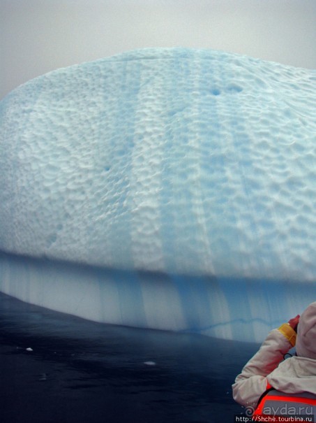 Здесь умирают айсберги — Waterboat Pt, Antarktic Peninsula