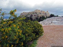 Альбом отзыва "Скала Ареопаг. История, виды — одни плюсы"