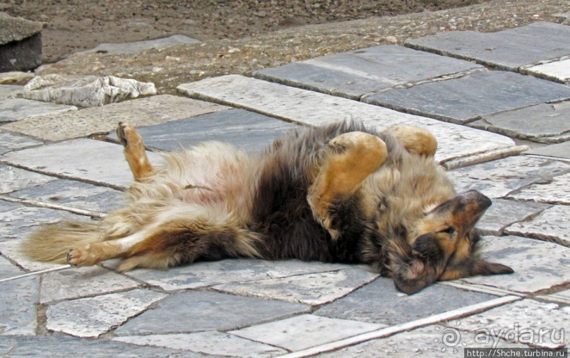 Скала Ареопаг. История, виды — одни плюсы