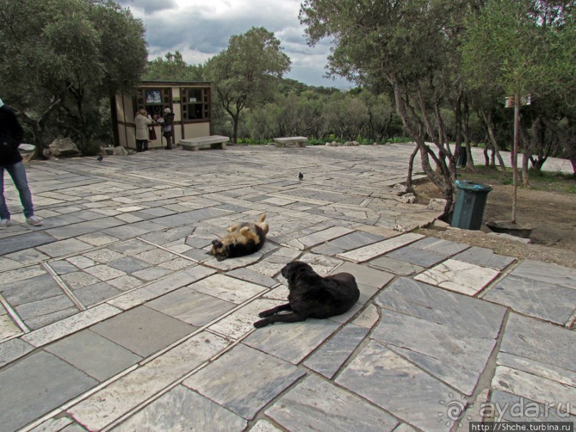 Скала Ареопаг. История, виды — одни плюсы