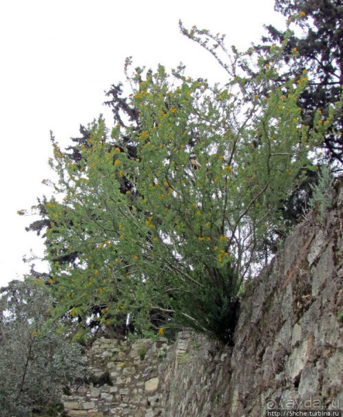 Скала Ареопаг. История, виды — одни плюсы